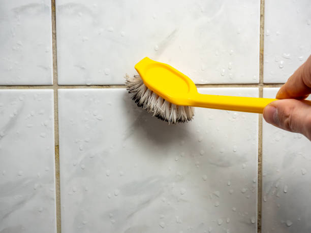 Best Mold Testing  in Peshtigo, WI